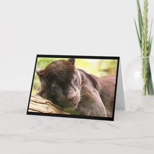 ブラックパンサー睡眠挨拶カード カード (正面)