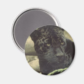 ブラックパンサー磁石 マグネット (正面/裏面)