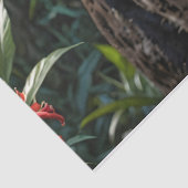 ブラックパンサー – ジャガーinジャングル赤い花 薄葉紙 (詳細)