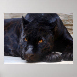 ブラックパンサー ポスター