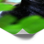 ブラックパンサー ポスター (角)