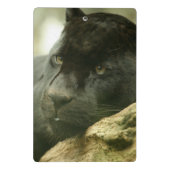 ブラックパンサー ミニクリップボード (裏面)