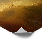 ブラックパンサー(2)野良猫 ポスター (角)