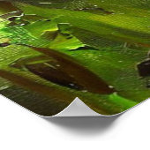 ブラックパンサー(4)野良猫 ポスター (角)