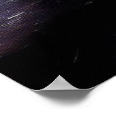 ブラックパンサー(7)野良猫 ポスター (角)