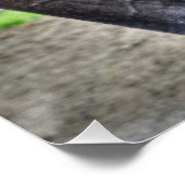 ブラックパーシェロン守馬プレーニング写真 ポスター (コーナー)