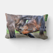 ブラックパーシェロン守馬プレーニング写真 ランバークッション (裏面)