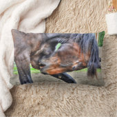 ブラックパーシェロン守馬プレーニング写真 ランバークッション (ブランケット)