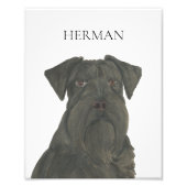 ブラックパーソナライズされたシュナウザーアート フォトプリント (正面)