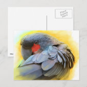 ブラックパーム絵画コカトゥリアリズム ポストカード (正面/裏面)