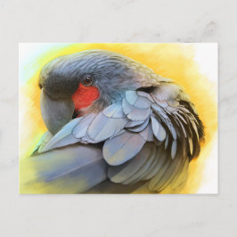 ブラックパーム絵画コカトゥリアリズム ポストカード