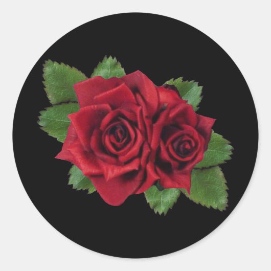 ブラックパールバラシール ラウンドシール (正面)