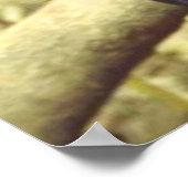 ブラックヒョウin the wild ポスター (角)