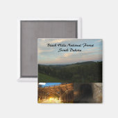 ブラックヒルズナショナルフォレスト マグネット (正面/裏面)