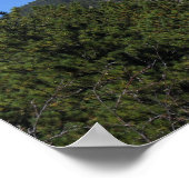 ブラックヒルズパノラマ53 ポスター (角)