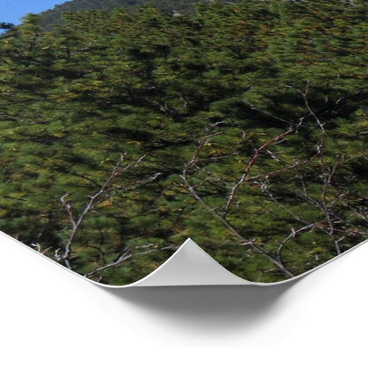 ブラックヒルズパノラマ53 ポスター (角)