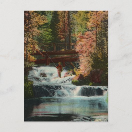 ブラックヒルズフィッシャーマンヴィンテージはがき ポストカード (正面)