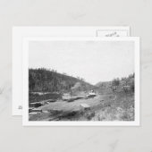 ブラックヒルズ写真のドビンのこぎり ポストカード (正面/裏面)