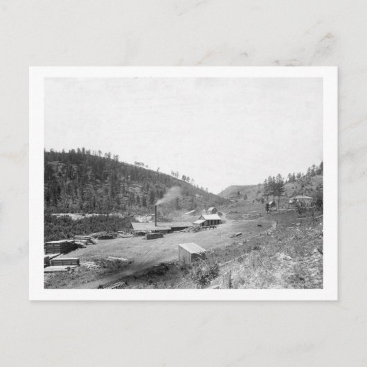 ブラックヒルズ写真のドビンのこぎり ポストカード (正面)