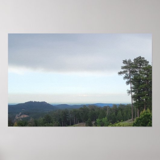 ブラックヒルズ ポスター (正面)