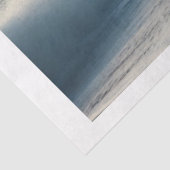 ブラックビーチスタリオン 薄葉紙 (詳細)