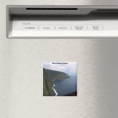 ブラックビーチハワイ マグネット (インサイチュ (食洗機))