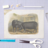 ブラックピッグスエフエマデクページヴィンテージファーム 薄葉紙 (クラフト)