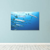ブラックフィン・バラクーダ(Sphyraena qenie) キャンバスプリント (インサイチュ (ウッドフロア))