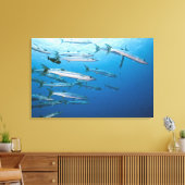 ブラックフィン・バラクーダ(Sphyraena qenie) キャンバスプリント (インサイチュ (リビング))