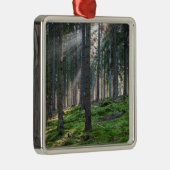 ブラックフォレストのサンビーム メタルオーナメント (右)