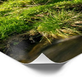 ブラックフォレストグリストミルドイツ ポスター (コーナー)