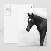 ブラックフォール ポストカード (正面/裏面)