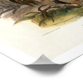 ブラックフットインディアンオン乗馬、プレート19 from Vol ポスター (角)