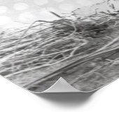 ブラックフット・ブレイブ、アルバータ州カルガリー付近、1889年 ポスター (角)