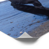 ブラックフライアシアンスタリオンリーオンビーチ ポスター (角)