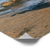 ブラックフライアシアンスタリオンリーオンビーチ ポスター (角)