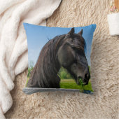 ブラックフリシアの馬 クッション (ブランケット)