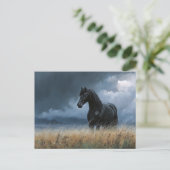 ブラックフリシアンスタリオンドラマチックな風景 ポストカード (スタンド正面)