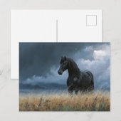 ブラックフリシアンスタリオンドラマチックな風景 ポストカード (正面/裏面)