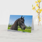 ブラックフリシアンホース誕生日 カード (黄色い花)