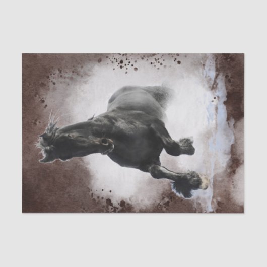 ブラックフリジアンホース 薄葉紙 (正面)