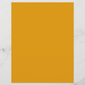 ブラックフレーム、オプティシャン、テクニカルプラクティショナー チラシ (裏面)