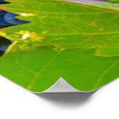 ブラックブドウつる植物ズヴィネヤード ポスター (角)