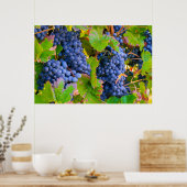 ブラックブドウつる植物ズヴィネヤード ポスター (キッチン)