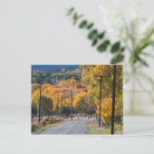 ブラックブリッジロード ポストカード (スタンド正面)