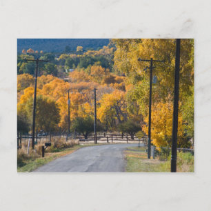 ブラックブリッジロード ポストカード