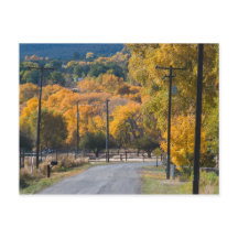 ブラックブリッジロード