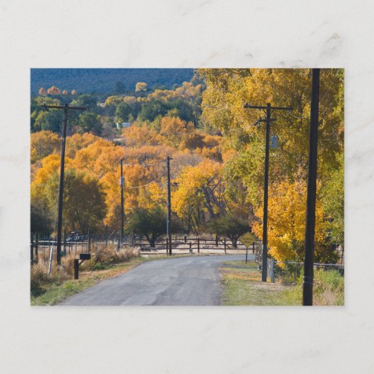 ブラックブリッジロード ポストカード (正面)