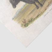 ブラックブルカウエフエメラデクページヴィンテージファーム 薄葉紙 (詳細)