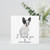 ブラックブルフランスのドッグドムムパピーペット誕生日 カード (スタンド正面)